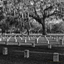 Beaufort National Cemetery