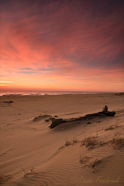 Log on the Beach at Sunrise