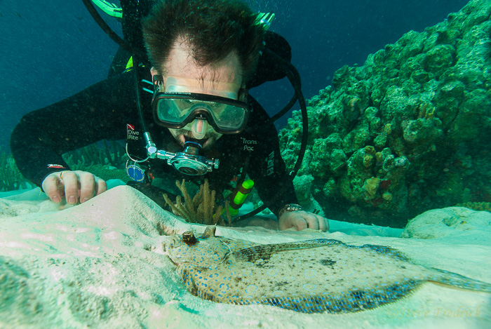 Rod S and Peacock Flonder