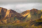 Landscape_259.jpg (66252 bytes)