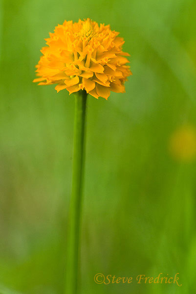 2004_0529Assawoman3_0011_1