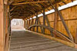20080117_LarkinCB_0021.jpg (39904 bytes)