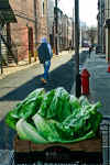 20090318_PhillyItalianMarket_0027Color.jpg (128266 bytes)