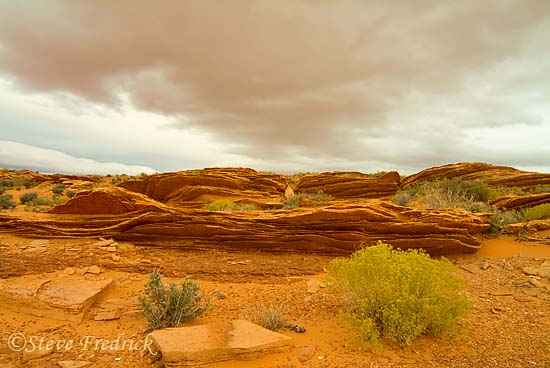Landscape Near Horseshoe Bend
