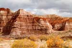 2004_1022SW_WahweepToadStool30017