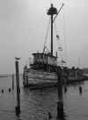 Old Menhaden Boat, Whitehaven, MD
